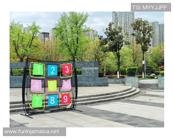 陈娜独家：分享飞盘心得